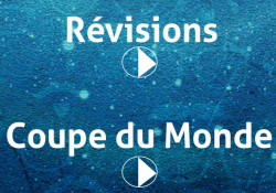 révisions go